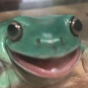 Meet your Posher, Beatriz